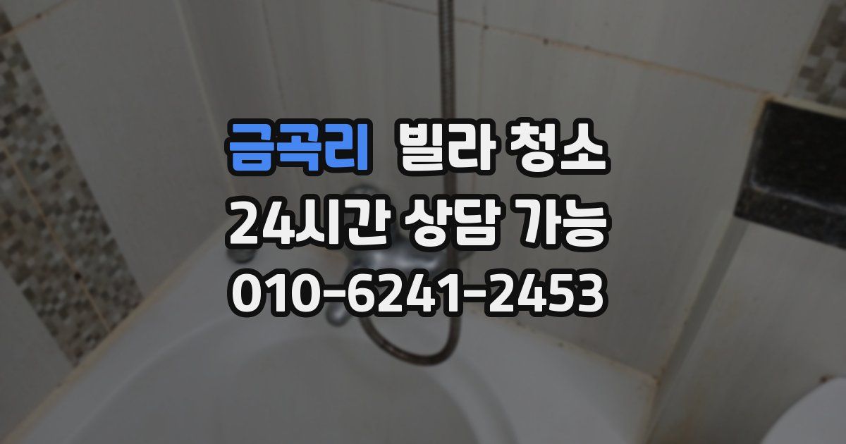 금곡리 빌라 청소