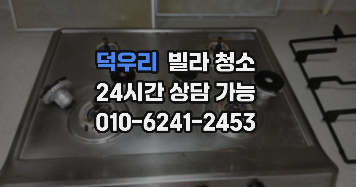 덕우리 빌라 청소