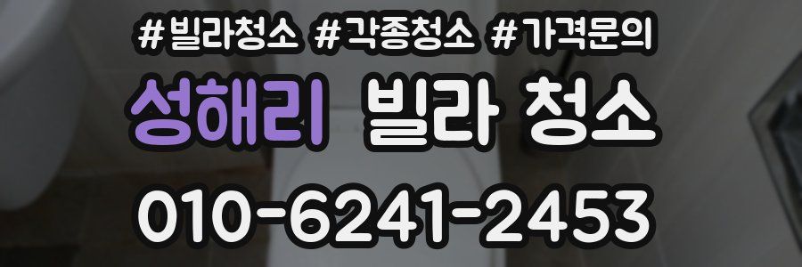 성해리 빌라 청소