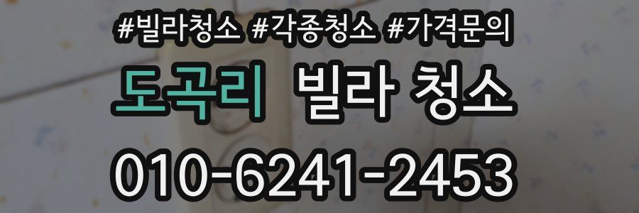 도곡리 빌라 청소