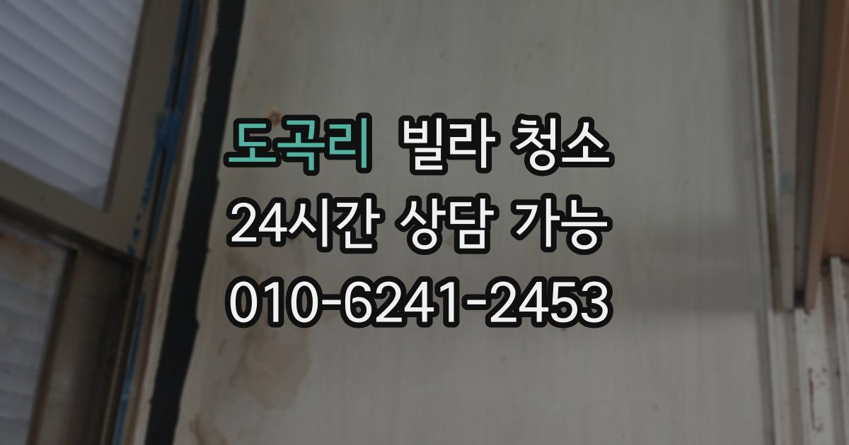 도곡리 빌라 청소