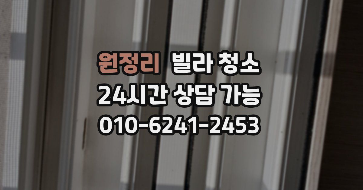 원정리 빌라 청소