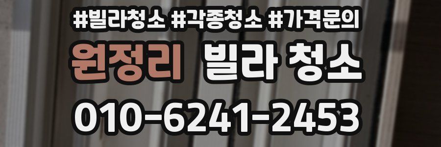 원정리 빌라 청소