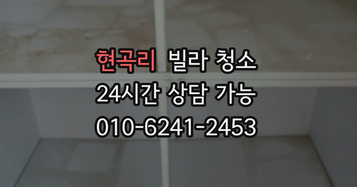 현곡리 빌라 청소