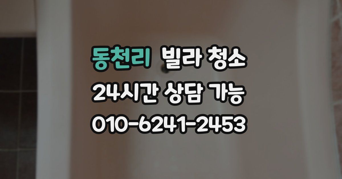 동천리 빌라 청소