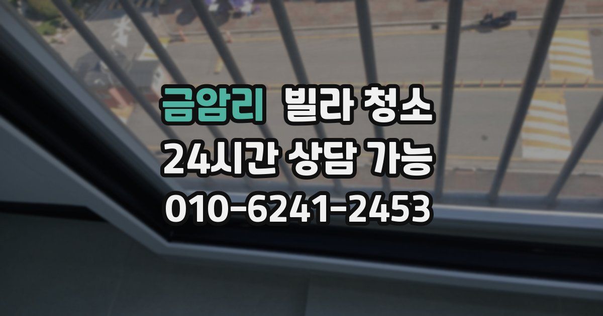 금암리 빌라 청소