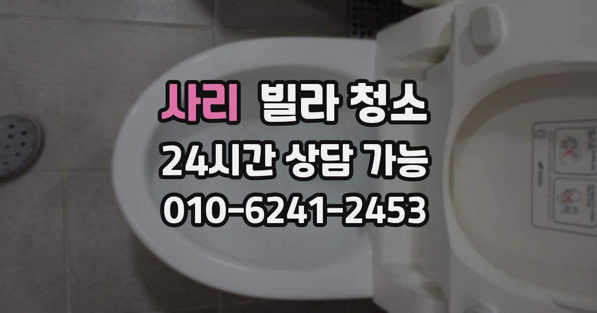 사리 빌라 청소