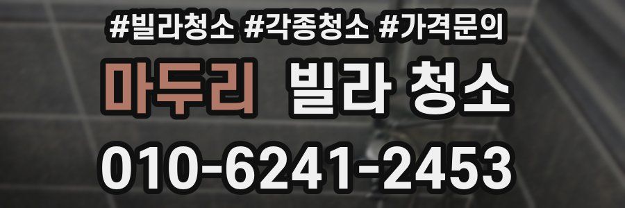 마두리 빌라 청소