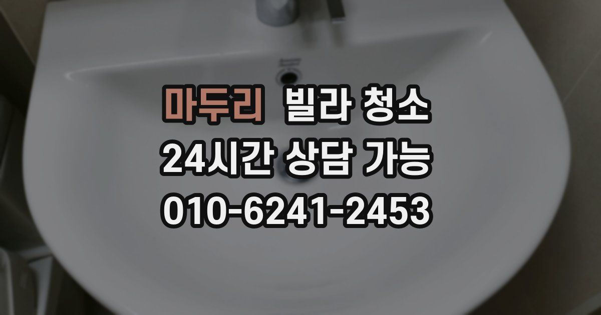 마두리 빌라 청소