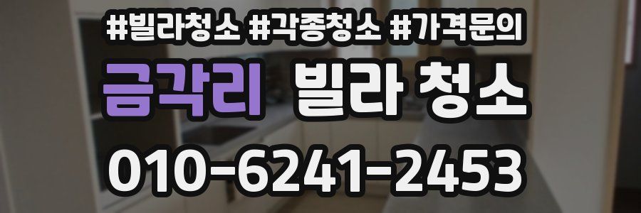 금각리 빌라 청소