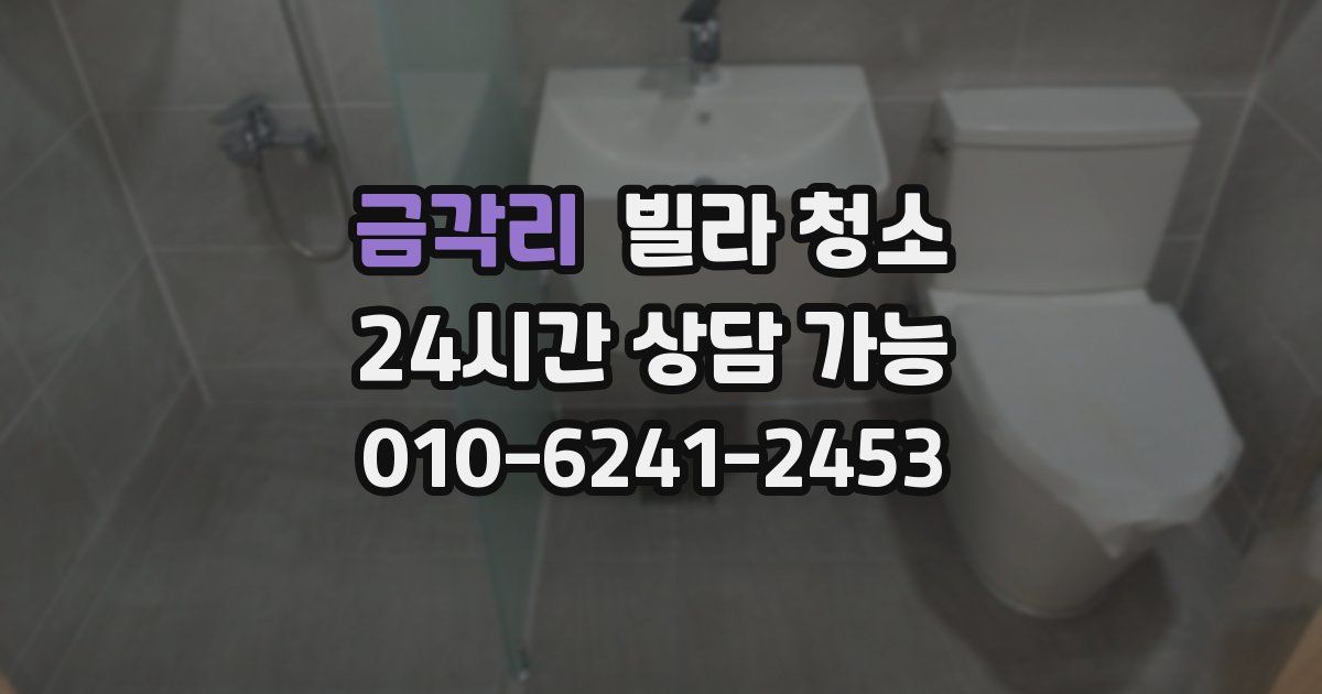 금각리 빌라 청소