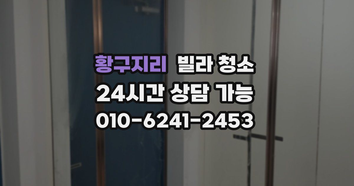 황구지리 빌라 청소