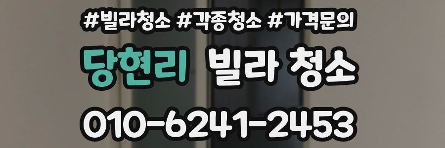 당현리 빌라 청소