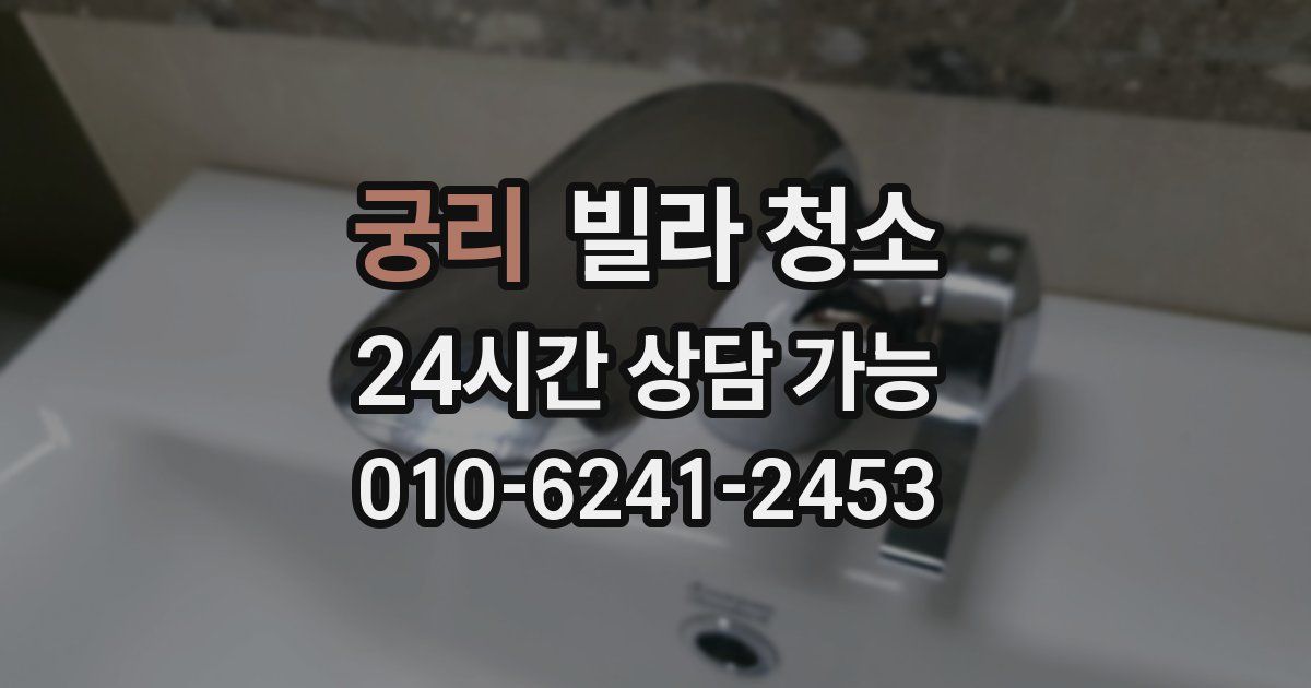 궁리 빌라 청소