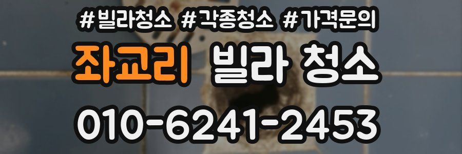 좌교리 빌라 청소