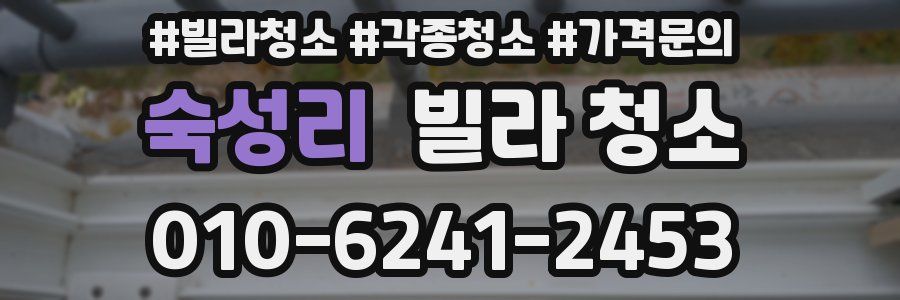 숙성리 빌라 청소