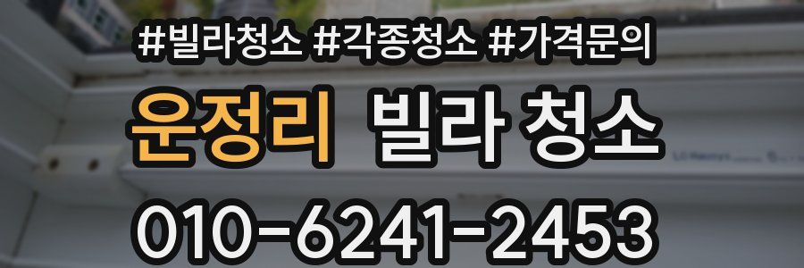운정리 빌라 청소