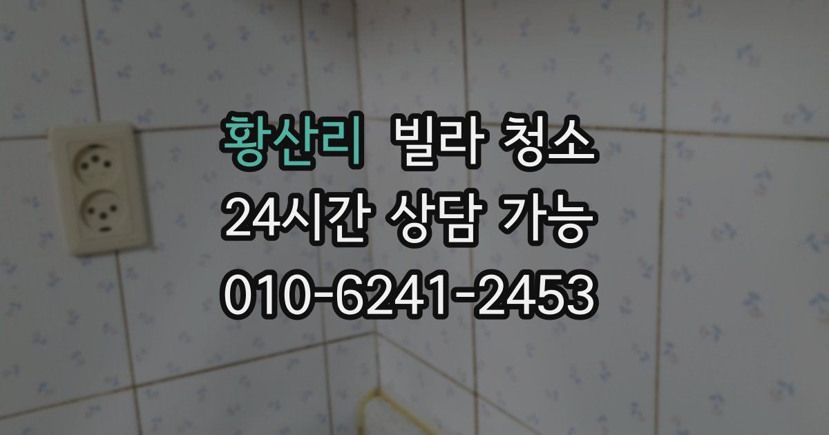 황산리 빌라 청소