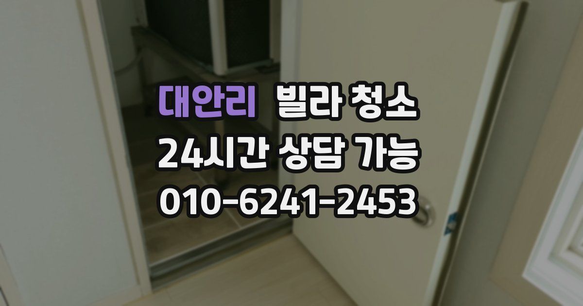 대안리 빌라 청소