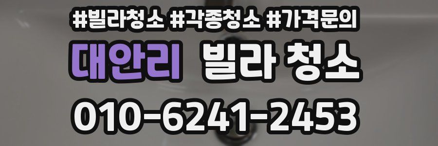 대안리 빌라 청소