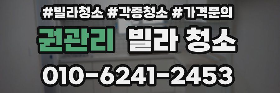 권관리 빌라 청소