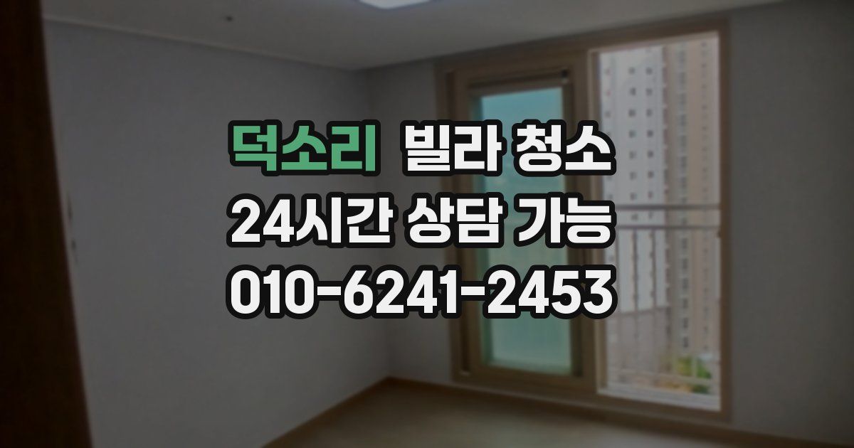 덕소리 빌라 청소