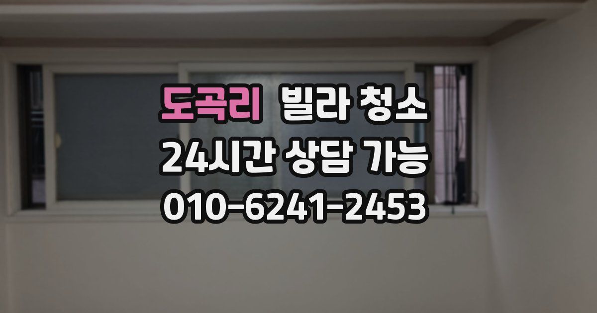 도곡리 빌라 청소