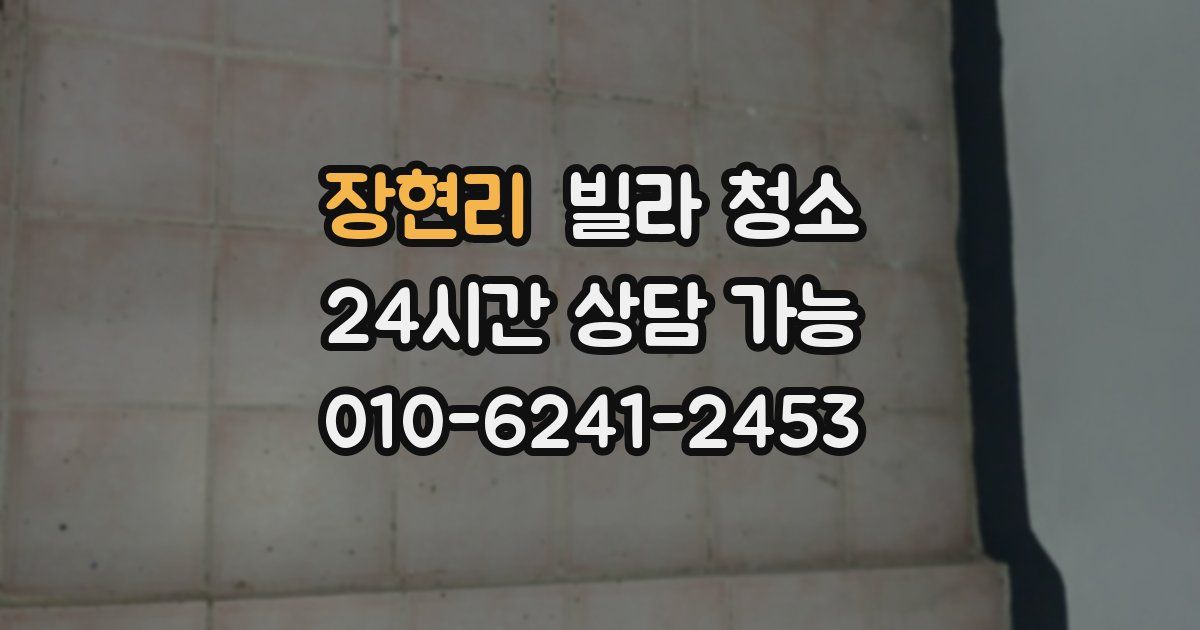 장현리 빌라 청소