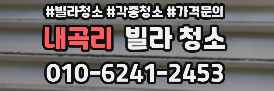 내곡리 빌라 청소