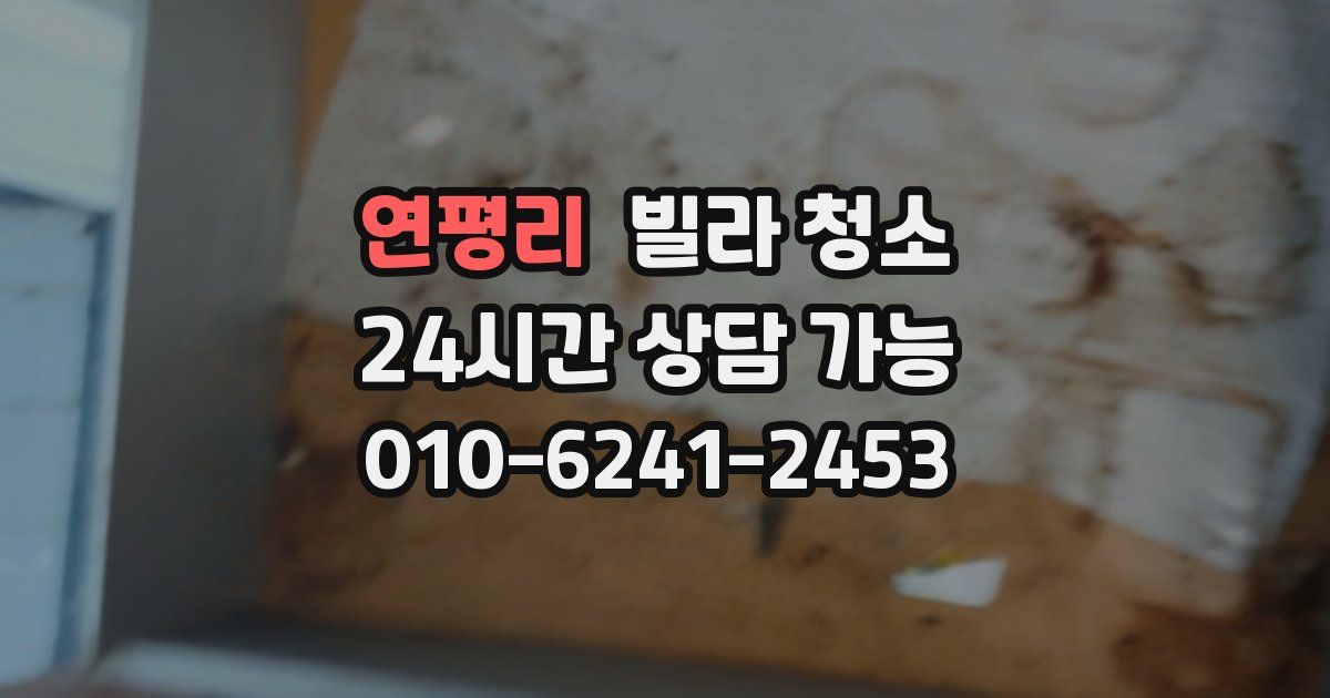 연평리 빌라 청소
