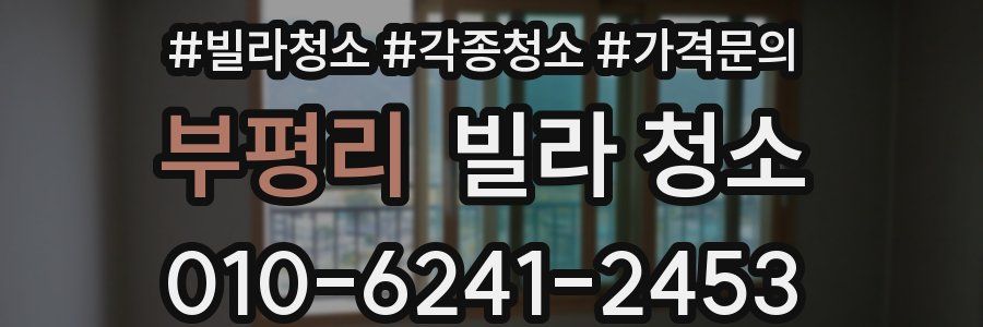 부평리 빌라 청소