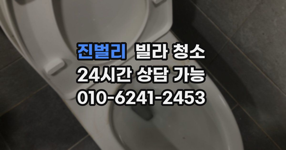 진벌리 빌라 청소