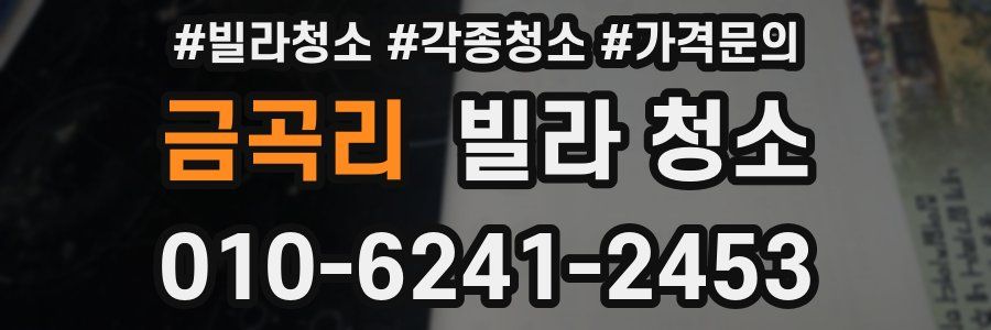 금곡리 빌라 청소