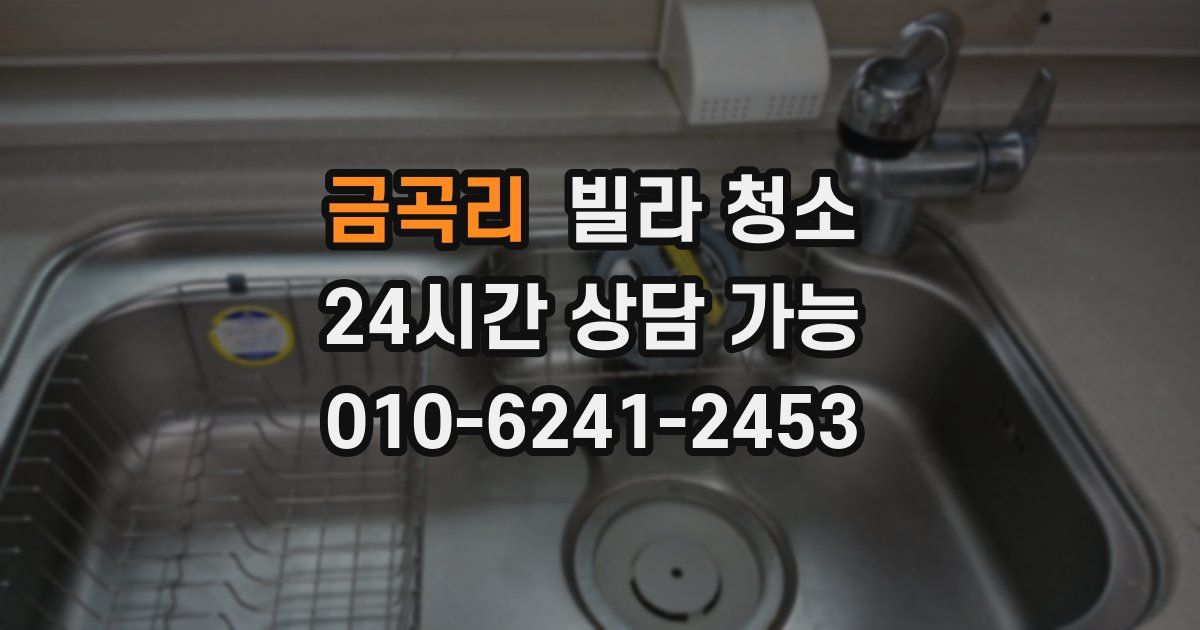 금곡리 빌라 청소