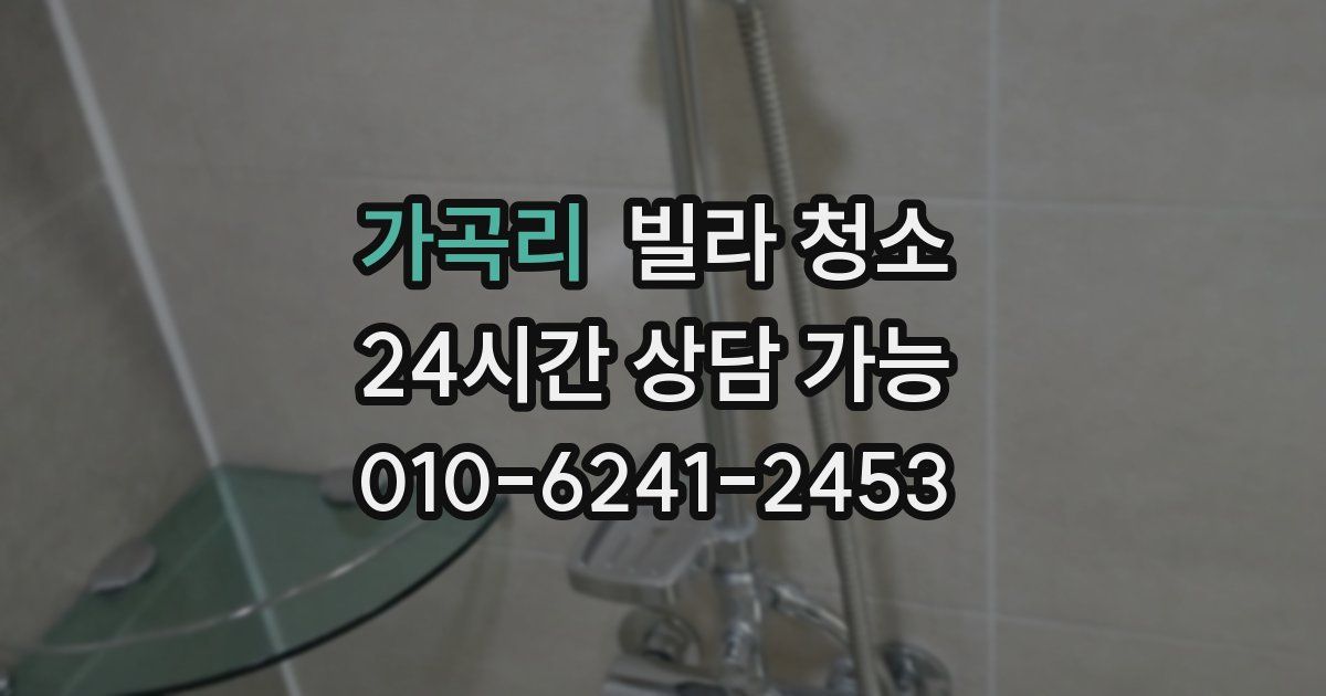 가곡리 빌라 청소