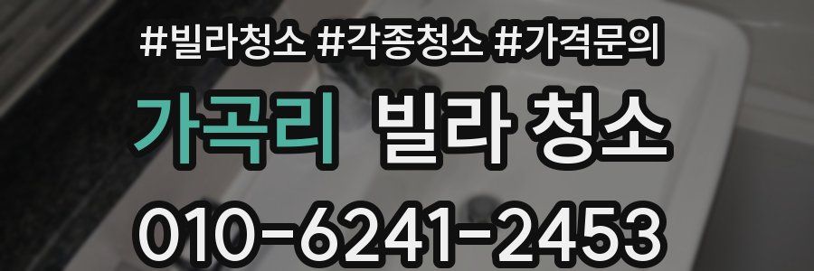 가곡리 빌라 청소