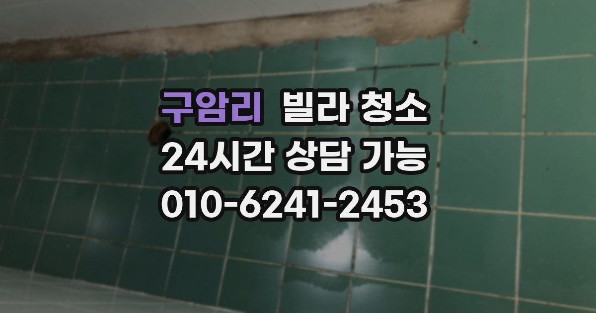 구암리 빌라 청소