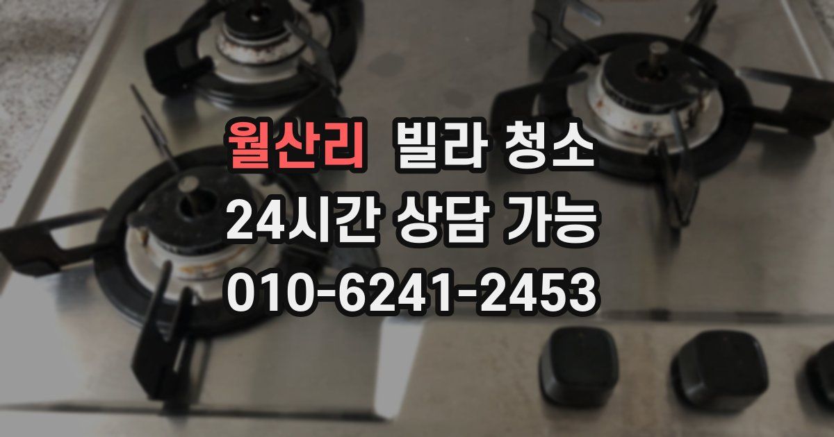 월산리 빌라 청소