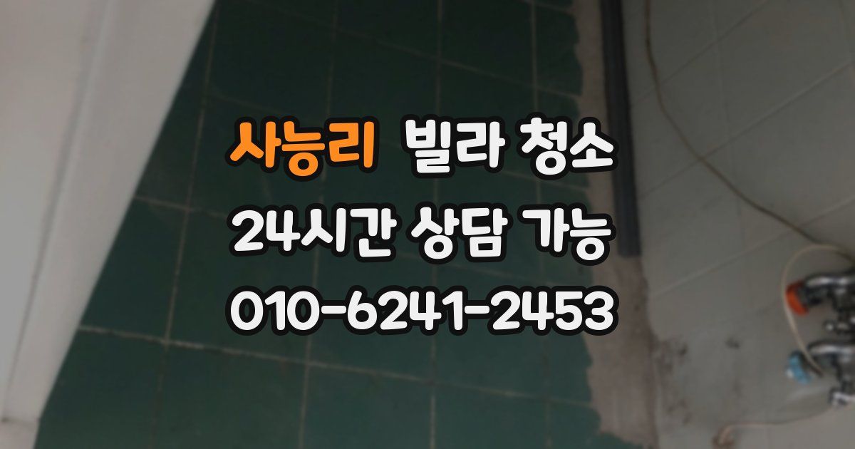 사능리 빌라 청소