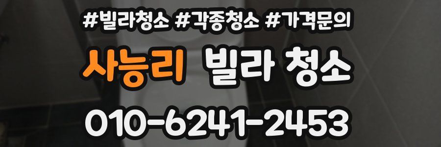 사능리 빌라 청소