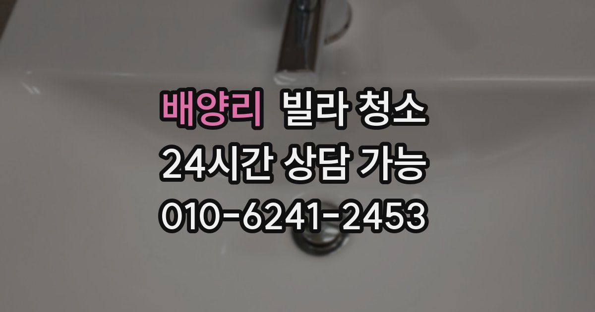 배양리 빌라 청소