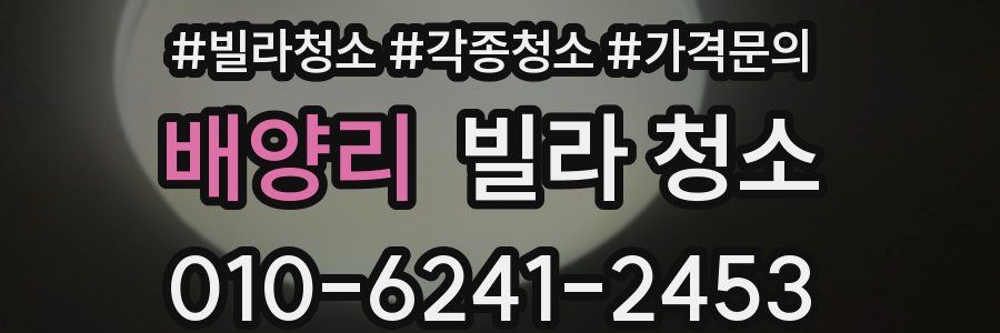 배양리 빌라 청소