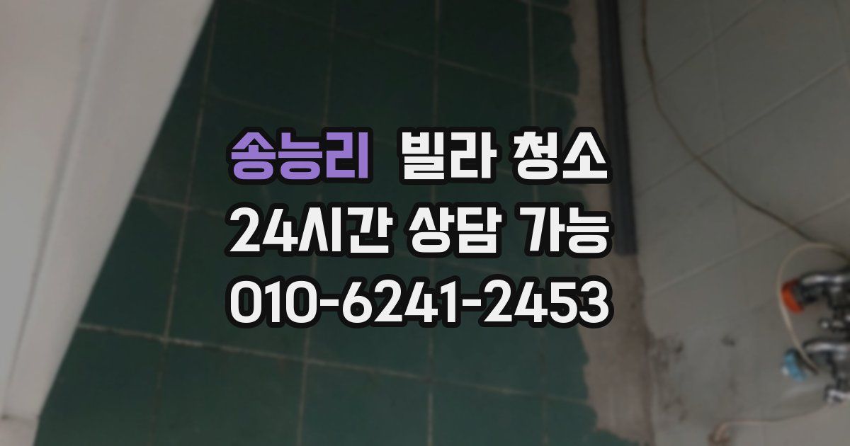 송능리 빌라 청소