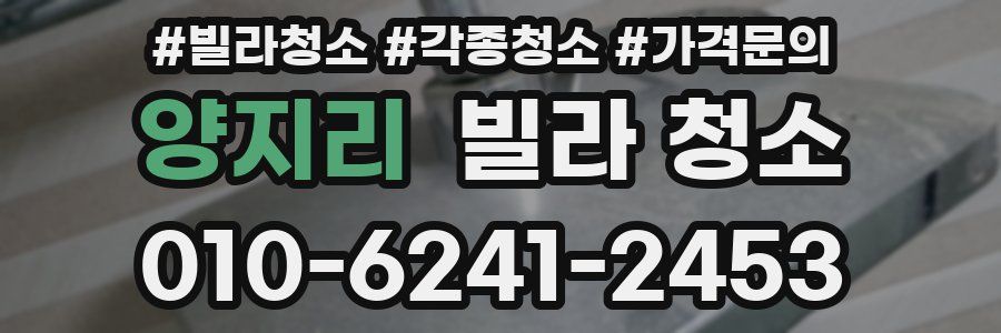 양지리 빌라 청소