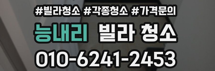 능내리 빌라 청소