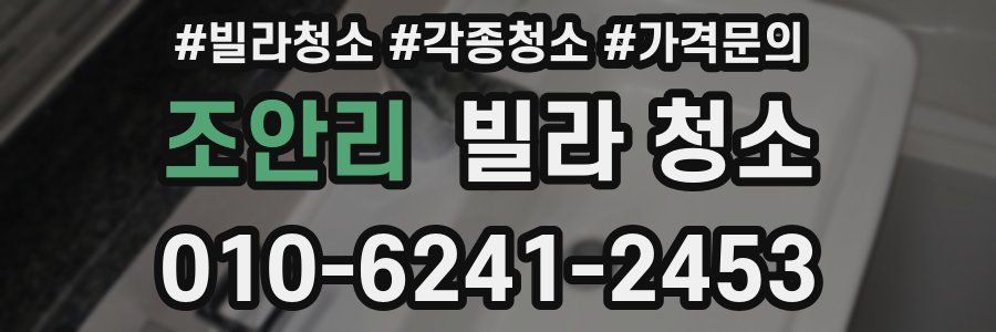 조안리 빌라 청소