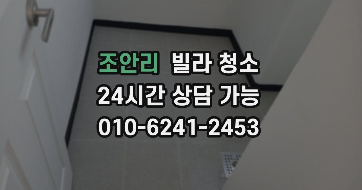 조안리 빌라 청소