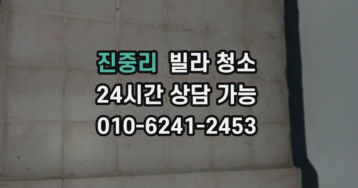 진중리 빌라 청소