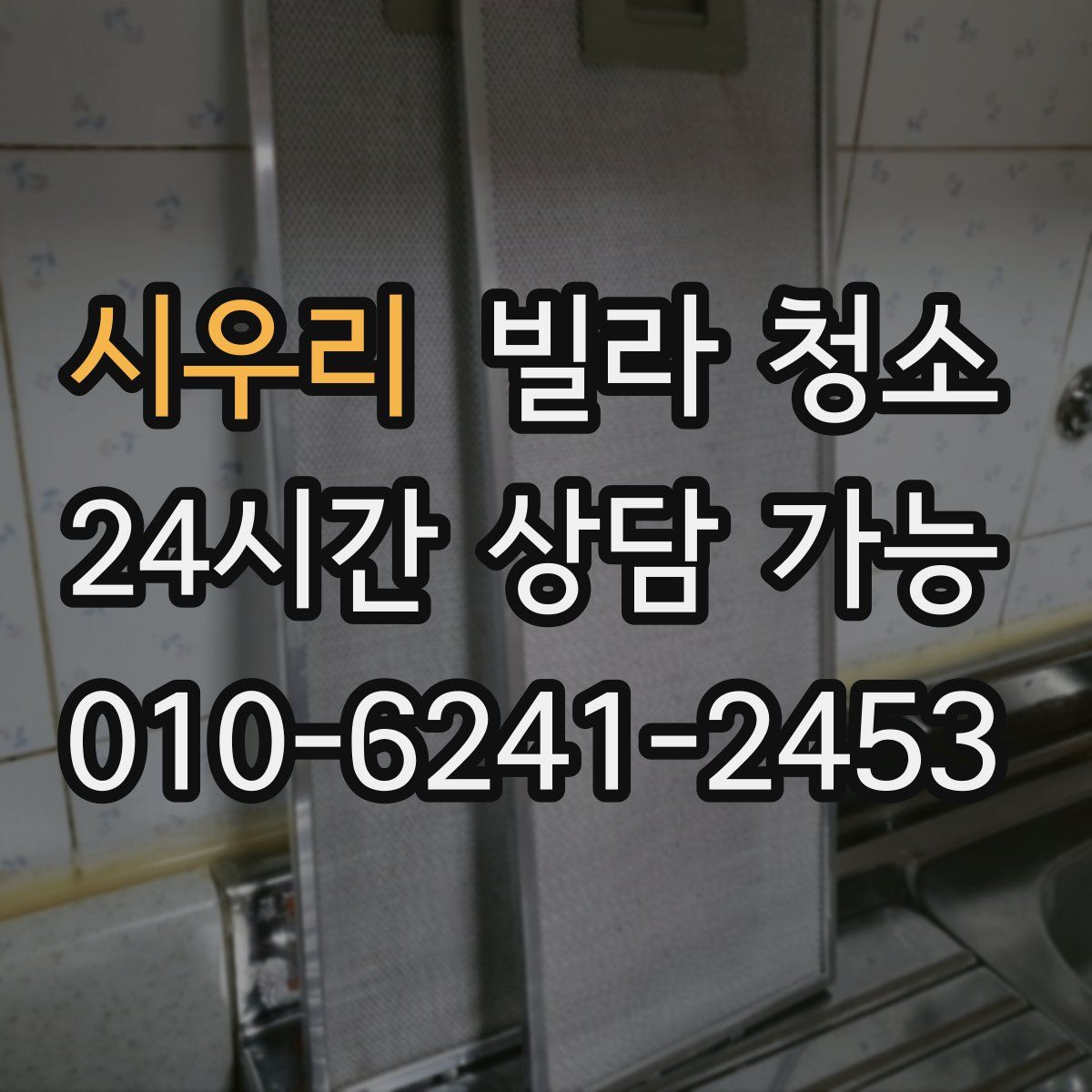 시우리 빌라 청소