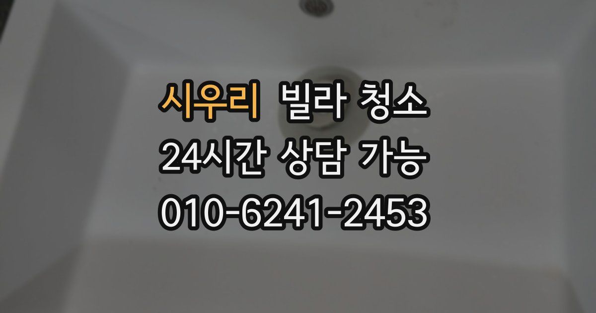 시우리 빌라 청소